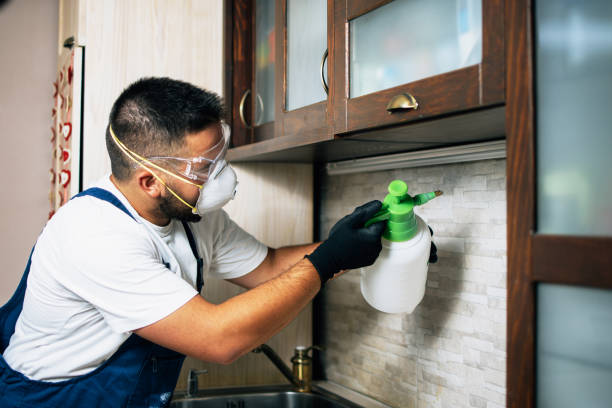 Best Affordable Pest Control Services  in Santa Clarita, CA