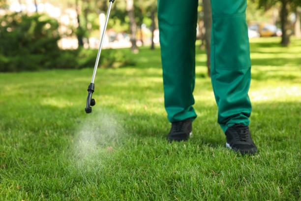 Best Exterminator Services  in Santa Clarita, CA