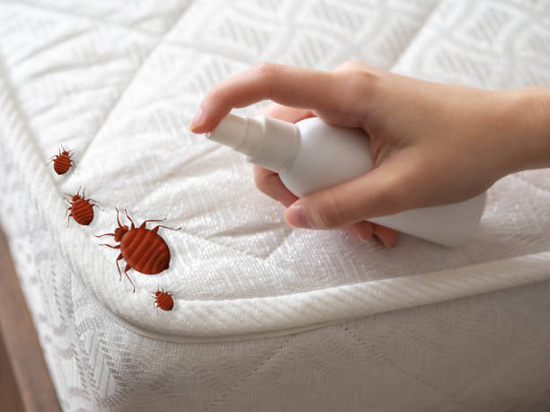 Best Emergency Pest Control  in Santa Clarita, CA