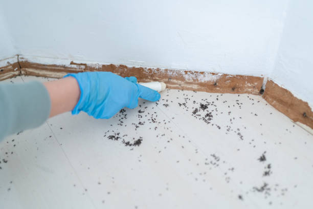  Santa Clarita, CA Pest Control Pros