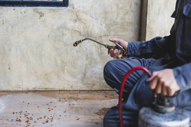 Best Best Pest Control Companies  in Santa Clarita, CA